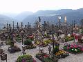 Rollerfreunde_Tirol 2013_75